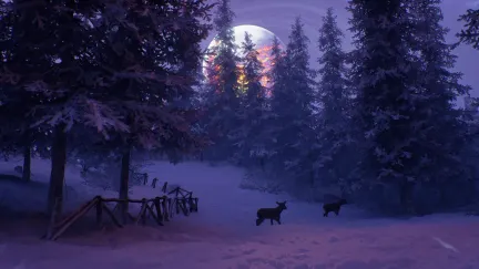 Permafrost