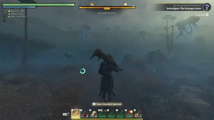 Enshrouded