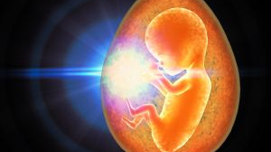 Jaký měli naši předci recept na hospodářskou krizi?