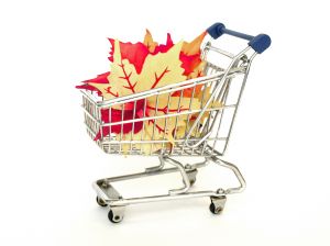 Bursík: Jednorázové nákupní tašky nebudou zdarma