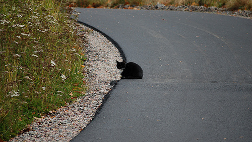 Pojišťovny: Pátek 13 není nejhorším dnem