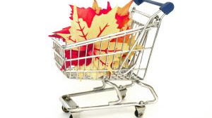 Lidé začali utrácet více za potraviny, prodej aut klesá