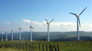 Větrné elektrárny mohou přinést České republice ekonomický růst a zaměstnanost, pokud je vláda podpoří