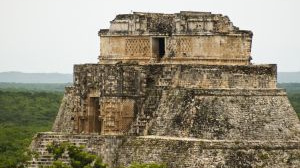 Dovolená: Bojíte se prasečí chřipky a chcete odstoupit od smlouvy s cestovní kanceláří?