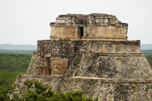 Dovolená: Bojíte se prasečí chřipky a chcete odstoupit od smlouvy s cestovní kanceláří?