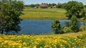 Tip na dovolenou: Agroturistika láká více lidí za přírodou