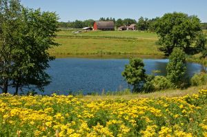 Tip na dovolenou: Agroturistika láká více lidí za přírodou