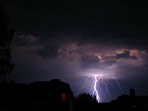 Česká pojišťovna po vichřicích očekává přes dva tisíce škod za desítky milionů korun