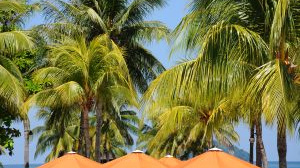 Česká pojišťovna nabízí pojištění storna zájezdu při ztrátě zaměstnání