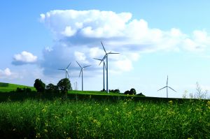 Využívání obnovitelných zdrojů energie by mohlo vytvořit miliony pracovních míst