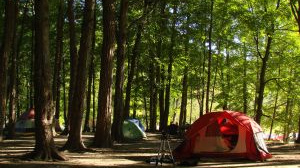 Dovolená: Kempům stále ubývají hosté! Češi přestávají mít zájem o stanování!