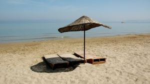 Cestovní pojištění Allianz pohodlně a s 50% slevou