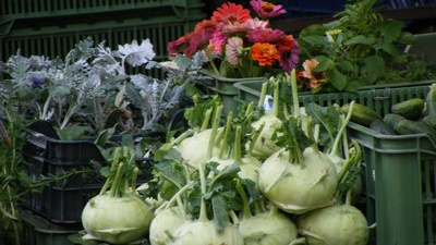 Minulý týden v České republice většina potravin zlevnila