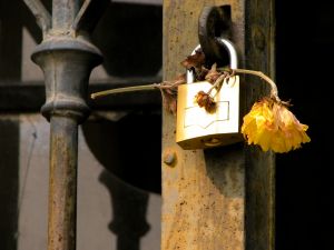 MD zavírá kvůli podvodům stanice technických kontrol vozidel