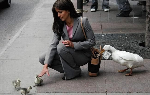 Kapsáři v Praze jsou třetí nejlepší na světě