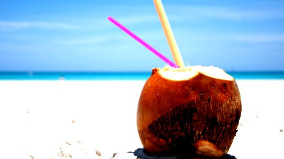 Na dovolenou si půjčí jen blázen