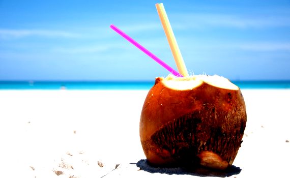 Na dovolenou si půjčí jen blázen