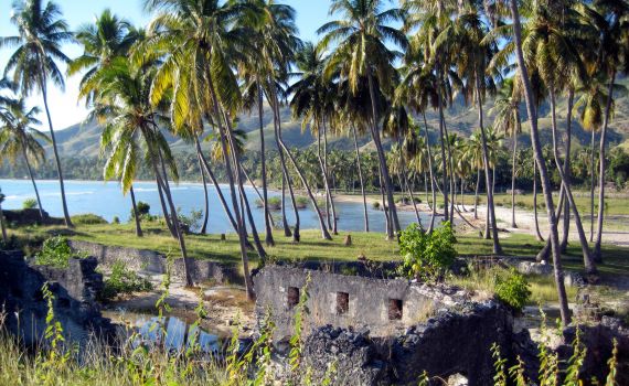 Zemětřesení na Haiti - V tuto chvíli je na ostrově 800 českých turistů