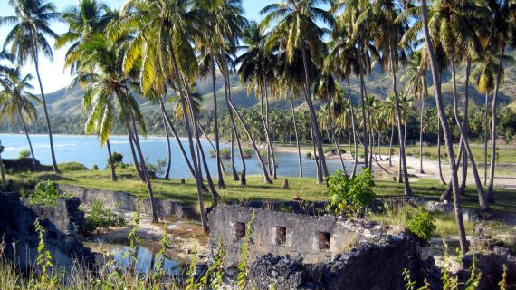 Zemětřesení na Haiti - V tuto chvíli je na ostrově 800 českých turistů