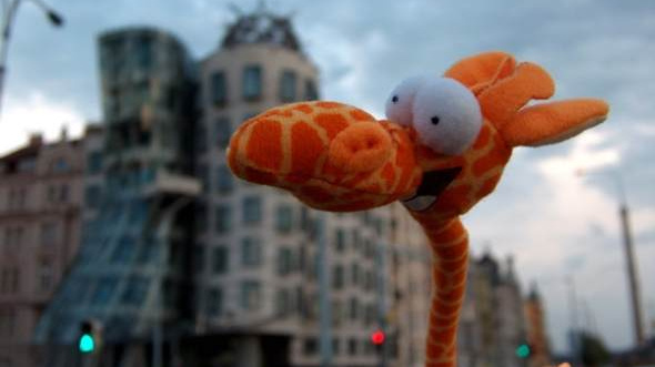 Pošlete svého plyšáka na dovolenou, vznikla unikátní cestovka