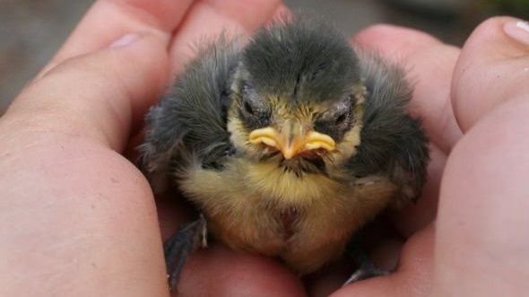 Příspěvek na péči: Stát vyplatil témeř 19 mld korun. Kdo má na něj nárok?