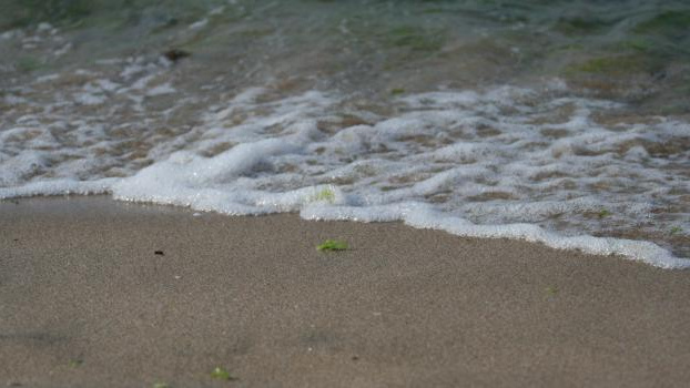 Dovolená letos vyjde levně v Bulharsku, drahá je Francie