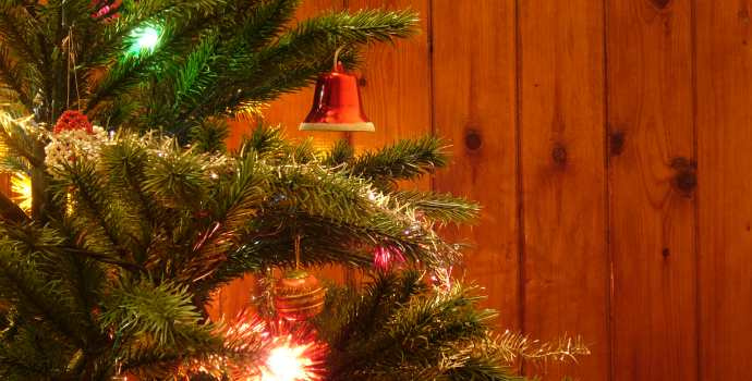 Peníze pod stromečkem? Dnes už běžný dárek