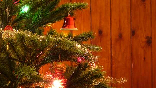 Peníze pod stromečkem? Dnes už běžný dárek