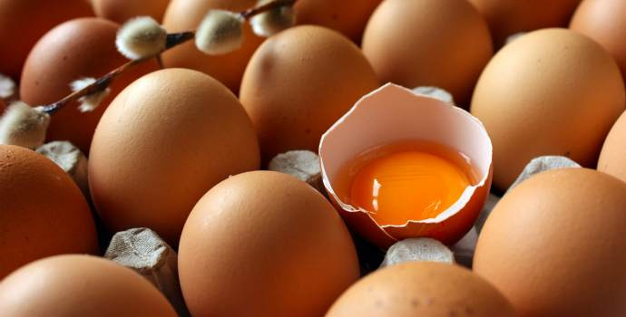 Vajíčka dvojnásobně zdražila, jsou dražší než v Německu