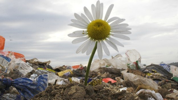 Stát chce zakázat skládky, odpady se mají spalovat