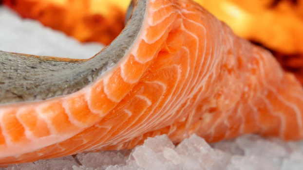 Nepančuje se ve velkém jen hovězí, ale také rybí maso