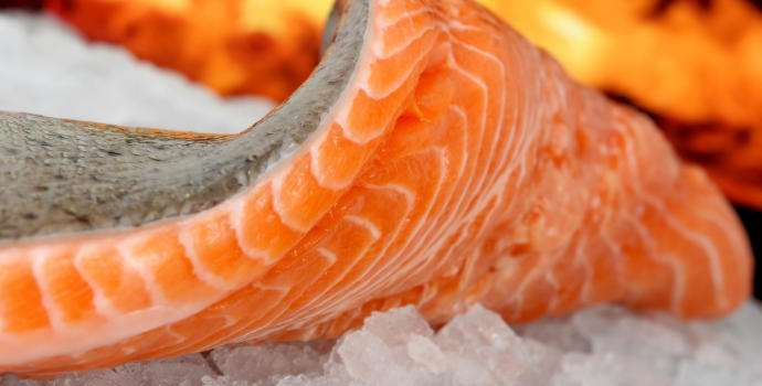 Nepančuje se ve velkém jen hovězí, ale také rybí maso