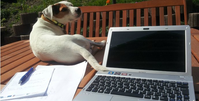 Chcete se zbavit stresu v práci? Vezměte s sebou pejska!