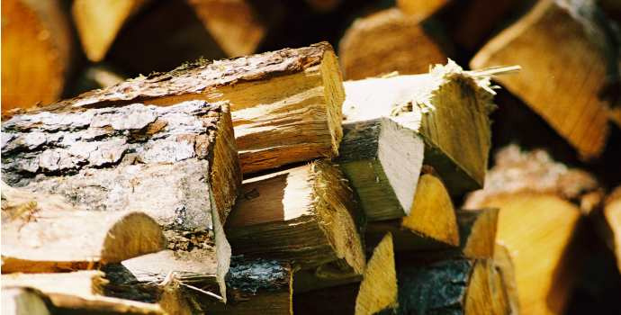 Pojišťovna klientům nakoupí, naštípe dříví nebo vyřeší právní spory