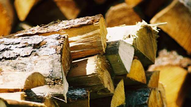 Pojišťovna klientům nakoupí, naštípe dříví nebo vyřeší právní spory