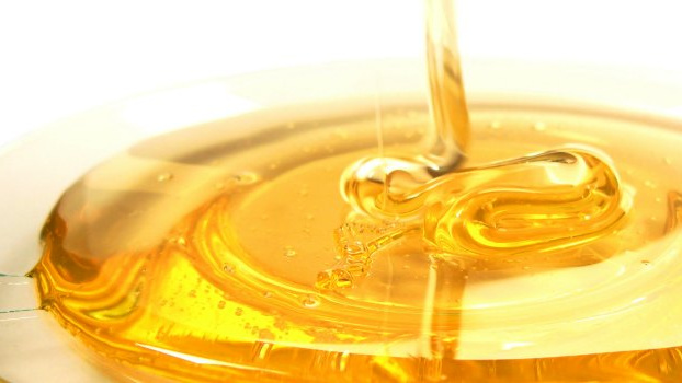 Letošní úroda medu bude nejhorší od roku 1987