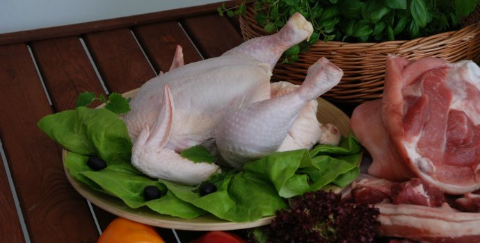 Pravda o českých kuřatech: Hybridi, kteří jen trpí?