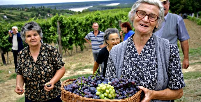 České důchody jsou vyšší než ve vyspělých mimoevropských zemích