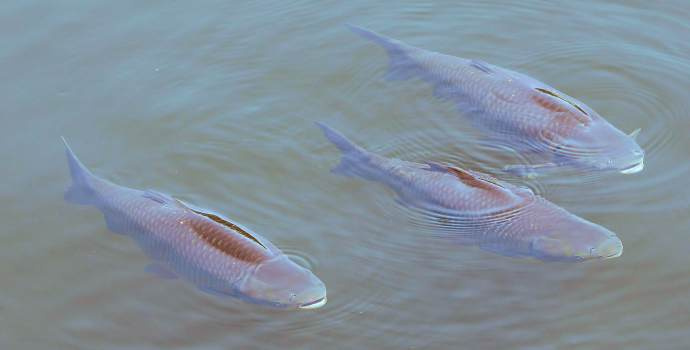 Kampaň ministerstva za 178milionů, aneb vyhozené peníze