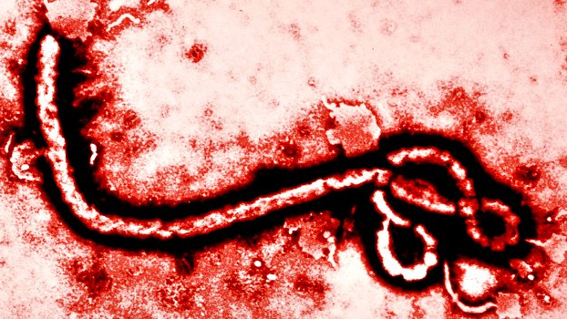 Ebola neexistuje? 4 konspirační teorie na internetu trápí zdravotnické organizace