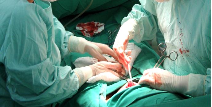 Všichni jsme dárci orgánů, (ne)vědomě můžete zachránit 6 lidí