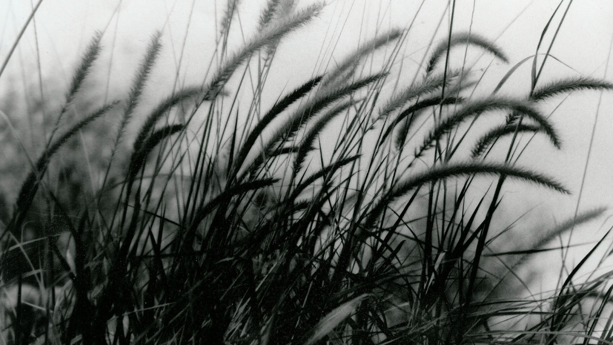 Počasí a ekonomika spolu souvisí. Jaká je ideální teplota?