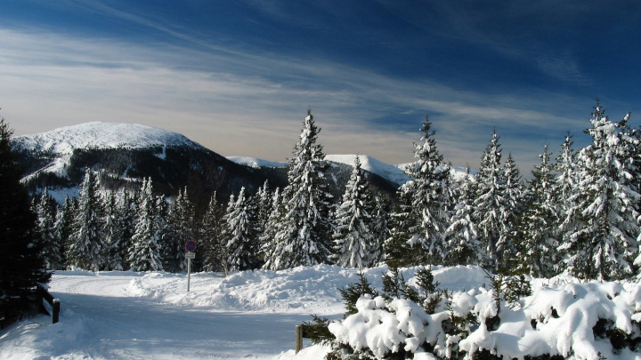 Zánik “Ladovské zimy” jako ekonomický fenomén