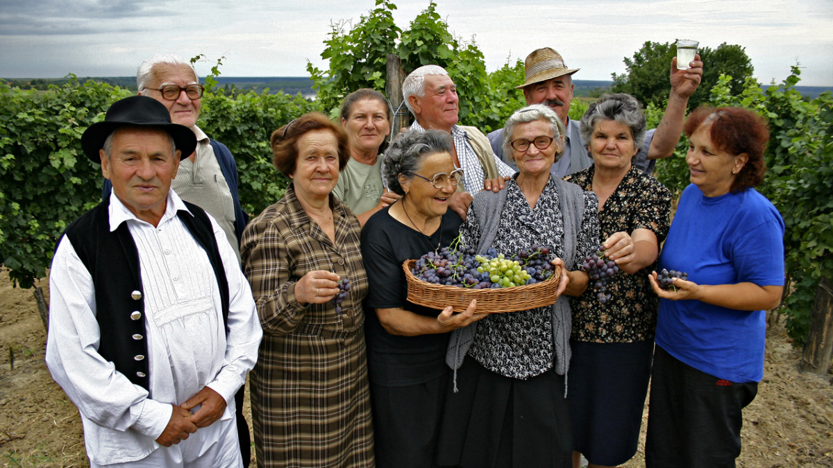 Průměrný Čech chce žít do devadesáti let s důchodem 18 tisíc korun