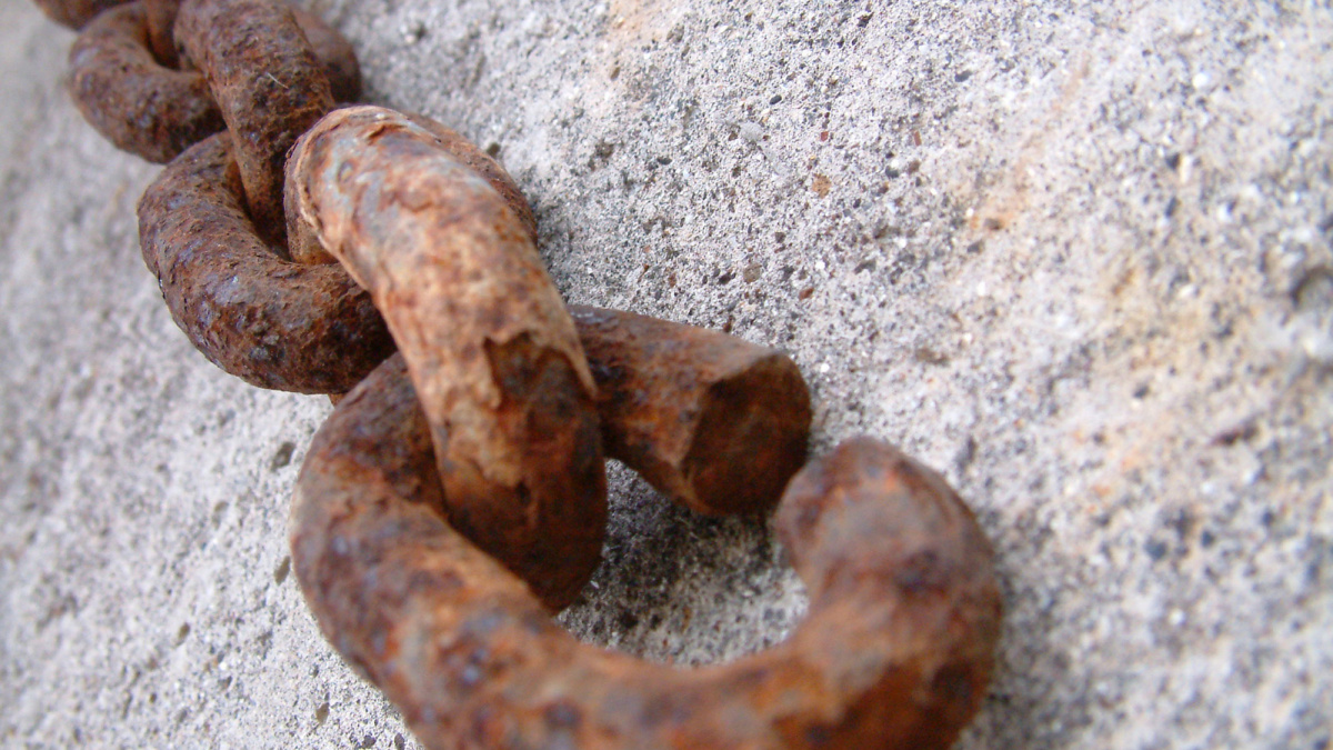 Peer-to-peer pojištění, komu se vyplatí a je k něčemu?