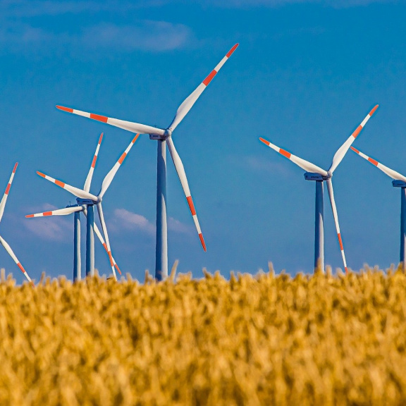 Hlavním zdrojem elektřiny v EU je obnovitelná energie. V Česku ale nikoli