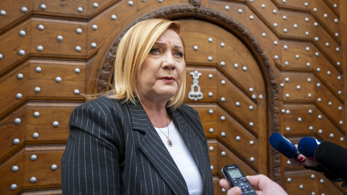 Koalice ANO, SPD a Motoristů slibuje snížení daní a třicet miliard do rozpočtu