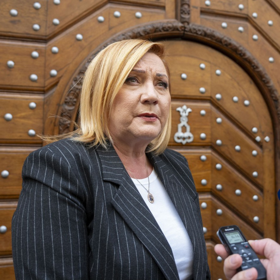 Koalice ANO, SPD a Motoristů slibuje snížení daní a třicet miliard do rozpočtu