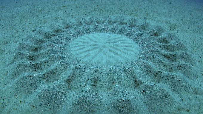 Kruhy v obilí? Teď frčí kruhy na dně oceánu!