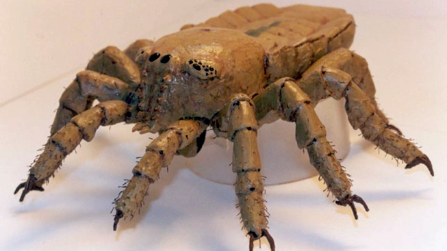 Paleontologové 'oživili' prehistorického pavouka